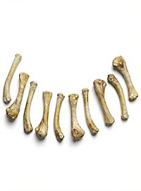 Set d'os en résine - pattes de poulet (10 pcs.)